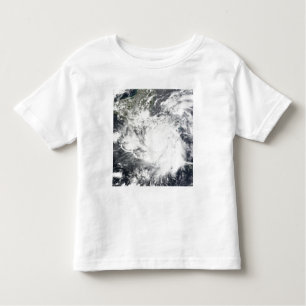 Tropical Storm Alma Toddler T-shirt