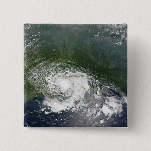 Tropical Storm Bertha Pinback Button (Front)