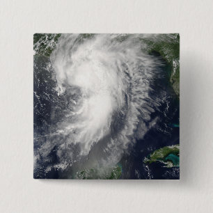 Tropical Storm Cindy Button