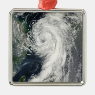 Tropical Storm Dianmu Metal Ornament