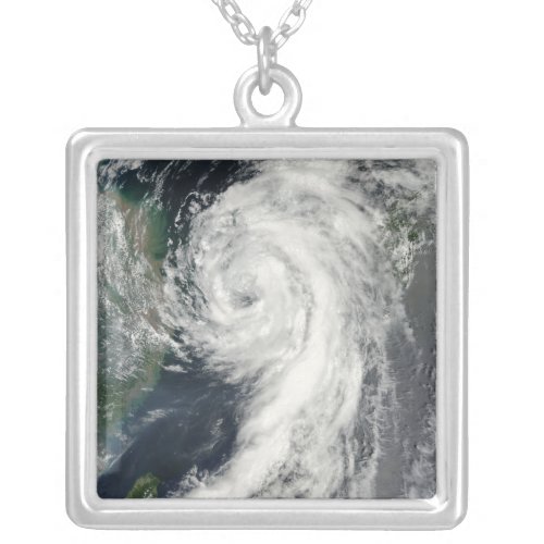 Tropical Storm Dianmu Silver Plated Necklace