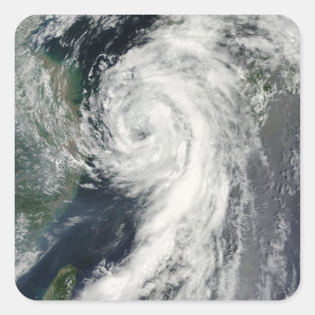 Tropical Storm Dianmu Square Sticker (Front)