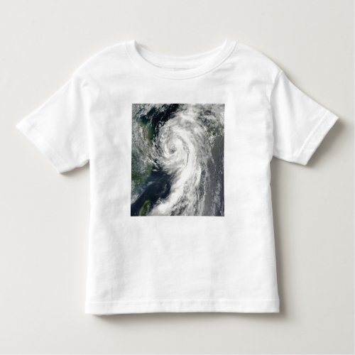 Tropical Storm Dianmu Toddler T_shirt
