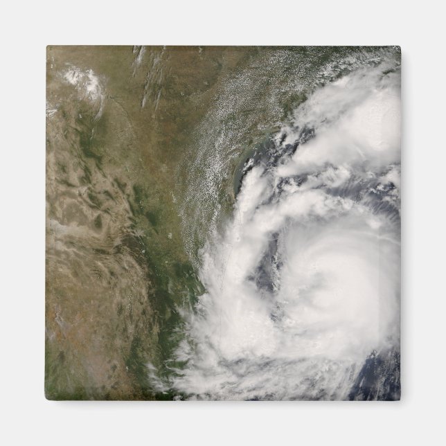 Tropical Storm Dolly Magnet (Front)