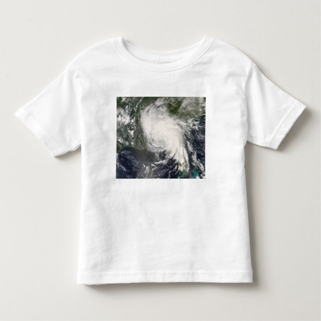 Tropical Storm Fay 3 Toddler T-shirt (Front)