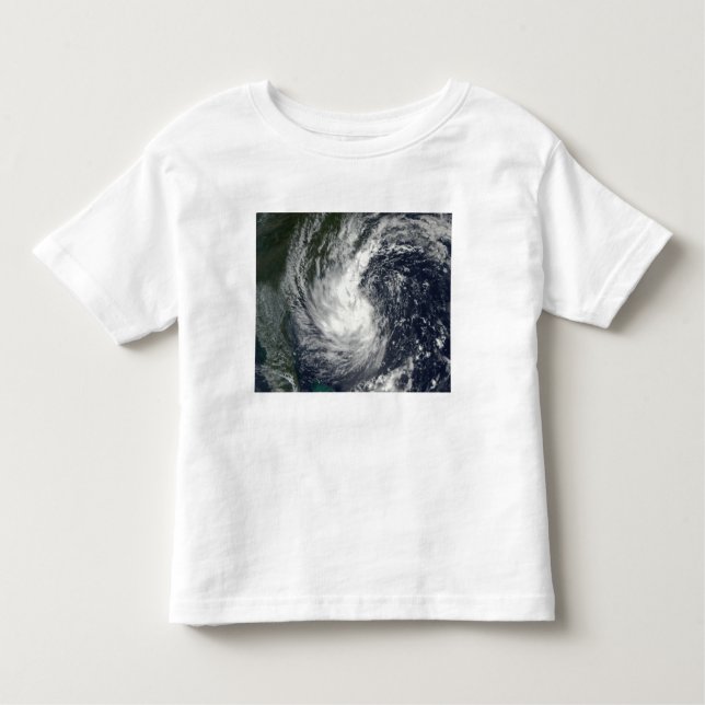 Tropical Storm Gustav 2 Toddler T-shirt (Front)