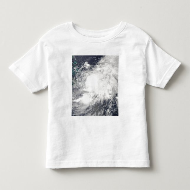 Tropical Storm Hanna Toddler T-shirt (Front)