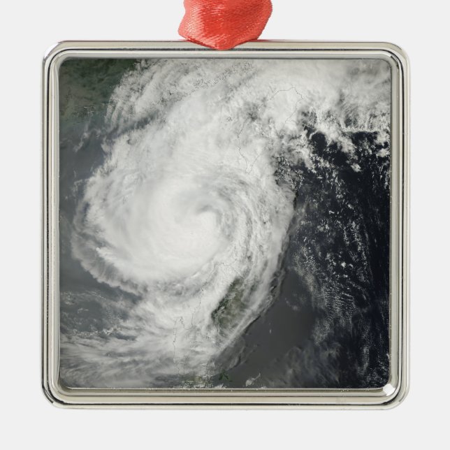 Tropical Storm Parm Metal Ornament (Front)