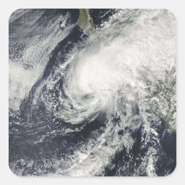 Tropical Storm Rick approaching Mexico Square Sticker (Front)