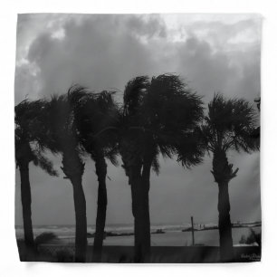 Tropical Stormy Skies Grayscale Bandana