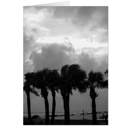 Tropical Stormy Skies Grayscale Cards (Front)