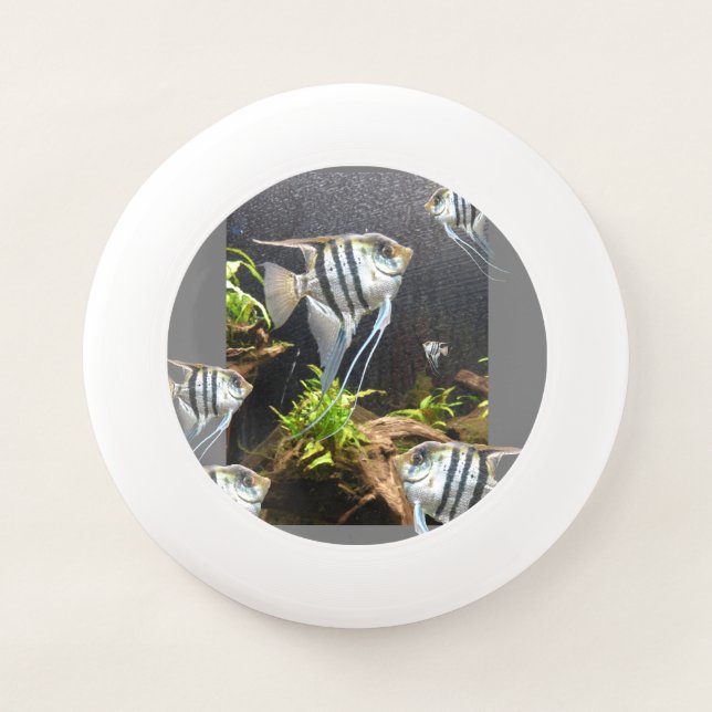 Tropical Striped Fish Frisbee (Front)