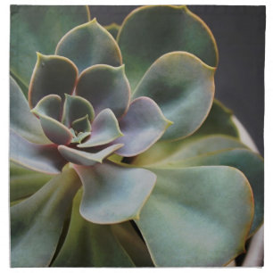 Tropical Succulent Flower Plant Photo Napkin