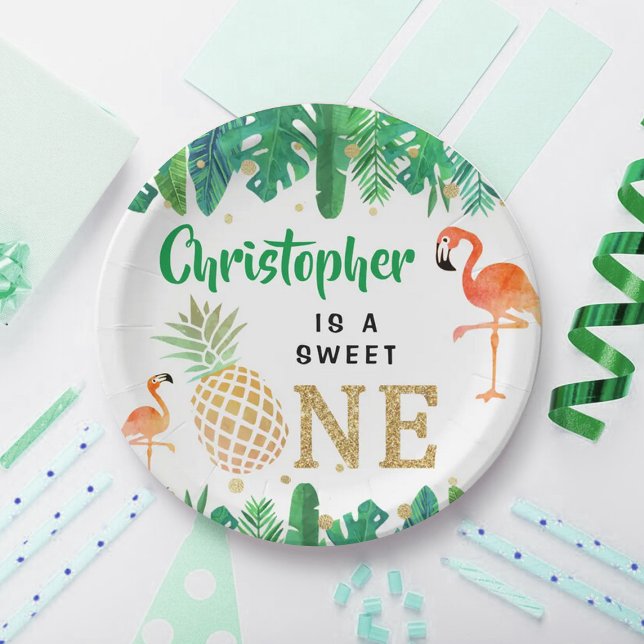 Tropical Summer Beach Luau Boys 1st Birthday Paper Plates (Creator Uploaded)