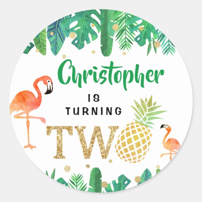 Tropical Summer Beach Luau Boys 2nd Birthday Classic Round Sticker (Front)