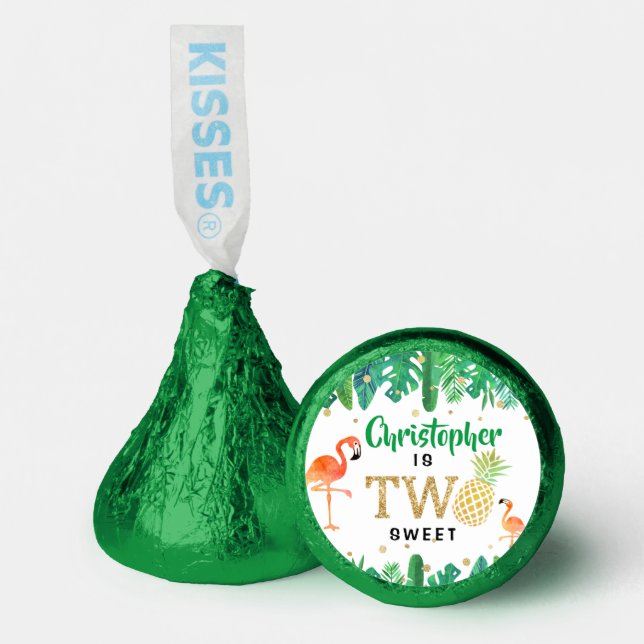 Tropical Summer Beach Luau Boys 2nd Birthday Hershey®'s Kisses® (Front)