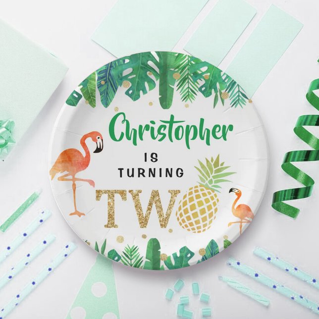 Tropical Summer Beach Luau Boys 2nd Birthday Paper Plates (Creator Uploaded)