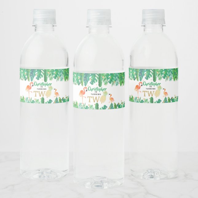 Tropical Summer Beach Luau Boys 2nd Birthday Water Bottle Label (Bottles)