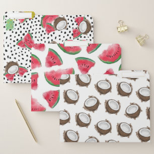 Tropical Summer Brown White Coconut Fruit Pattern File Folder