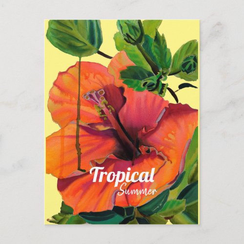 Tropical Summer orange hibiscus Postcard