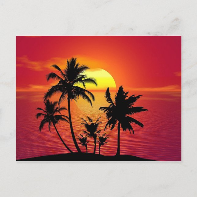 Tropical Summer Sunset Postcard (Front)