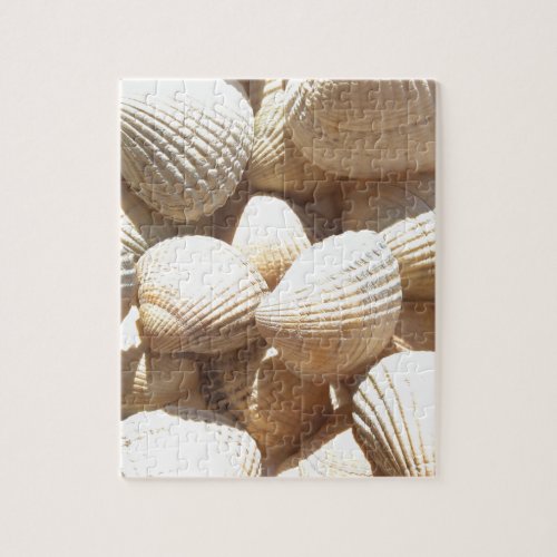 Tropical Sunny Exotic Sea Shells Jigsaw Puzzle