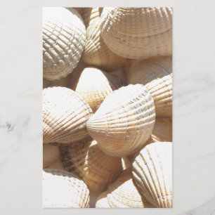 Tropical Sunny Exotic Sea Shells Stationery