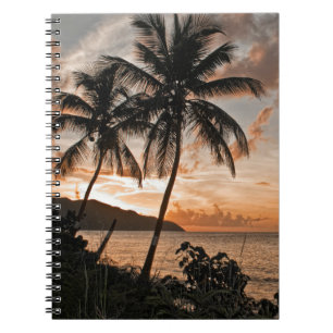 Tropical Sunset Beach Palm Trees Beach Notebook
