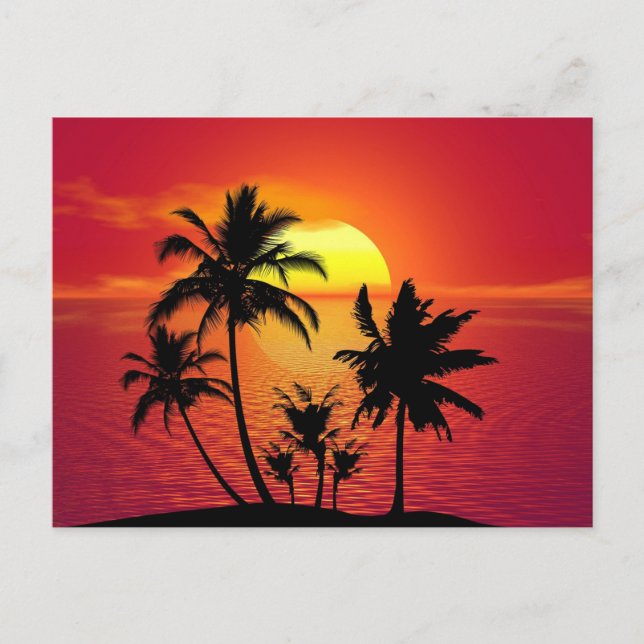 Tropical sunset, beautiful illustration, postcard (Front)