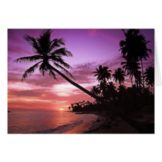 Tropical Sunset Cards