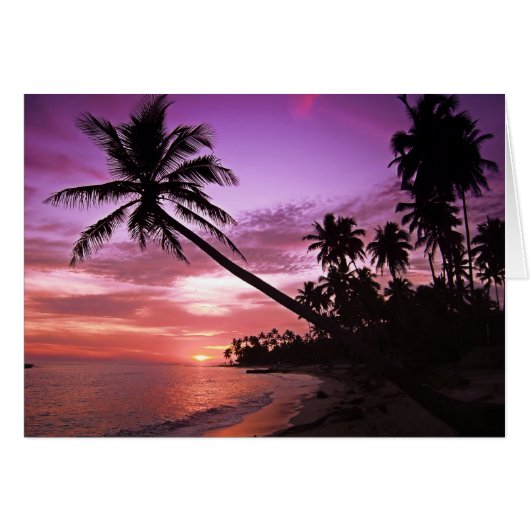 Tropical Sunset Cards (Front Horizontal)