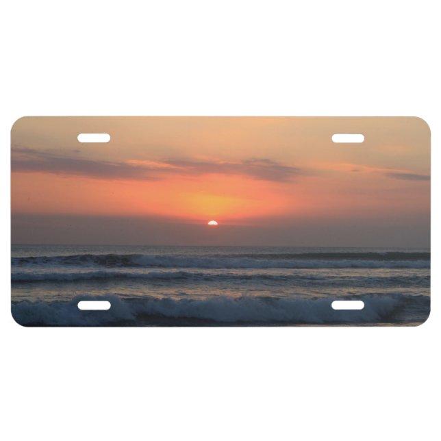 Tropical sunset license plate (Front)