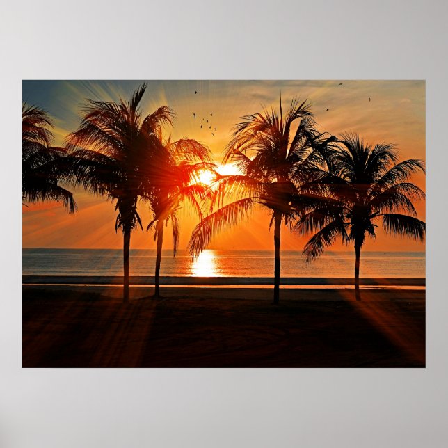 Tropical Sunset Poster (Front)