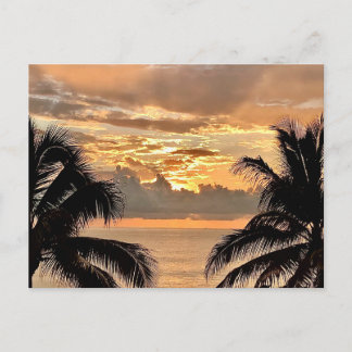 Tropical Sunset Puerto Vallarta Postcard