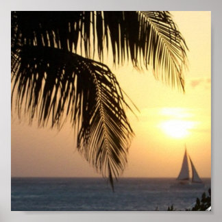 Tropical Sunset Sail Print
