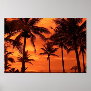 Tropical Sunset Summer Design Palm Trees Landscape Poster