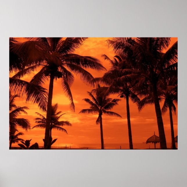 Tropical Sunset Summer Design Palm Trees Landscape Poster (Front)