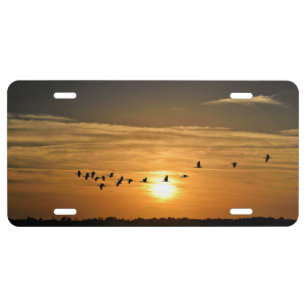 Tropical sunset with herons license plate