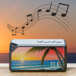 Tropical Sunset with Palm Beach Speaker Jabba