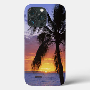 Tropical Sunset with Palm Tree Case-Mate iPhone Ca 13 Pro Case