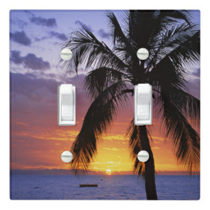 Tropical Sunset with Palm Tree Light Switch Cover