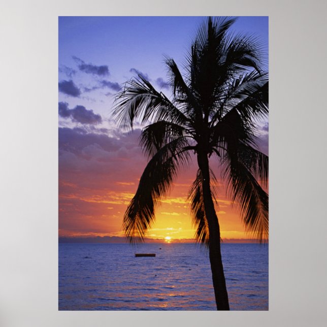 Tropical sunset with palm tree poster (Front)