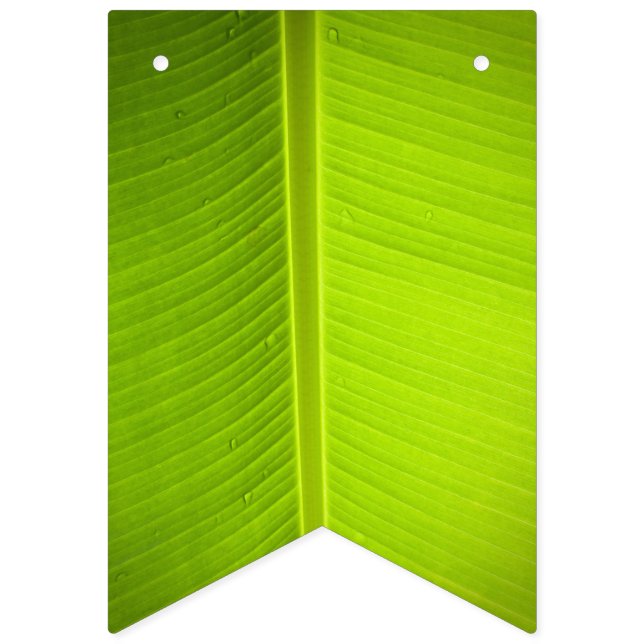 Tropical Theme. Banana Leaves. Bunting Flags (First Flag)