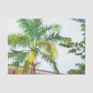 Tropical Tissue Paper Palm Tree