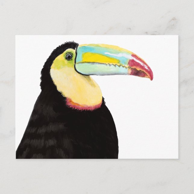 Tropical Toucan Bird Postcard (Front)