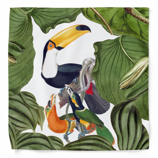 Tropical Toucan Birds Wildlife Animal Bandana (Front)