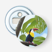 Tropical toucan in a tree
