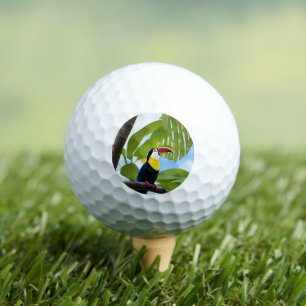 Tropical toucan in a tree golf balls
