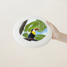 Tropical toucan in a tree