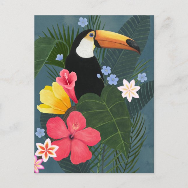 Tropical Toucan in the Wilderness Postcard (Front)